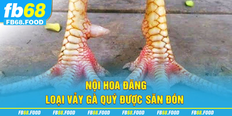 Nội hoa đăng  -  Loại vảy gà quý được săn đón